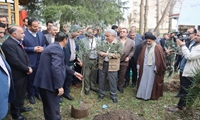 حضور استاندار گیلان و شهردار رشت در طرح سراسری مردمی کاشت یک میلیارد درخت